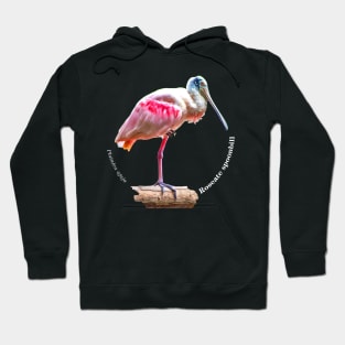 Roseate spoonbill tropical bird pin white text Hoodie